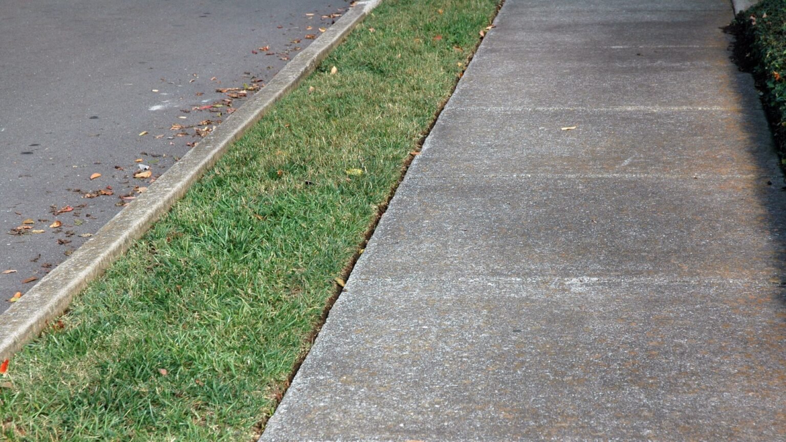 Sidewalk Rapair